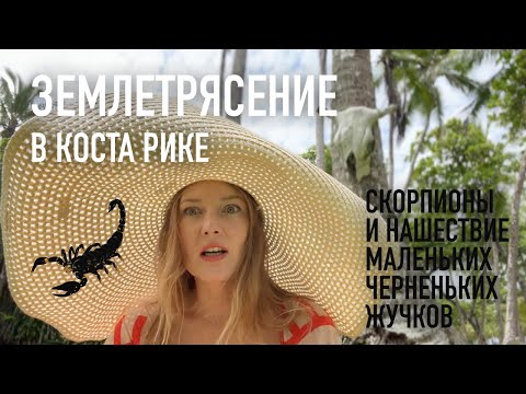 Видео: Землетрясение в Коста Рике и нашествие маленьких черненьких жучков