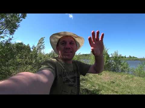 Видео: Рыбалка на долгожданного Судака в Томске