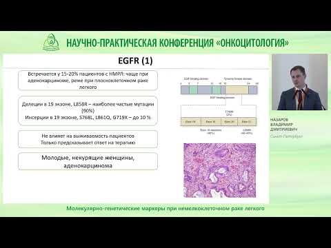 Видео: Молекулярно генетические маркеры при немелкоклеточном раке легкого