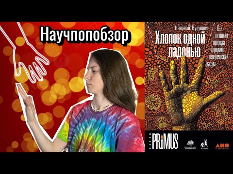 Видео: Давайте обсудим | Научпопобзор: Хлопок одной ладонью (Николай Кукушкин)