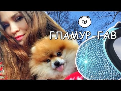 Видео: VLOG| Рулетка со стразами для собак