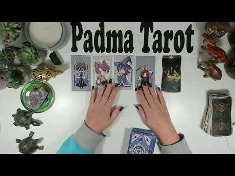 Видео: ДЕВА♍️ТЕБЯ НЕ ОСТАНОВИТЬ! 20-26 ОКТЯБРЯ. Еженедельное гадание на картах Таро ✨️ 🔮