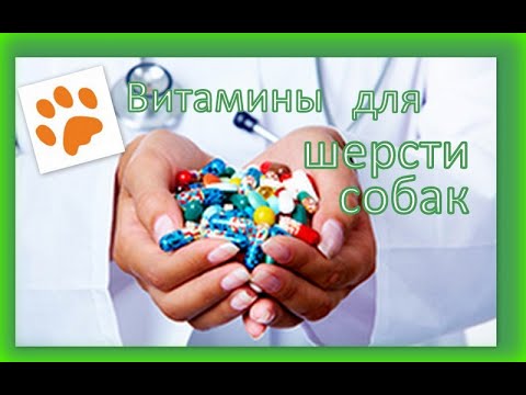 Видео: Витамины для шерсти собак. Нужны или нет.