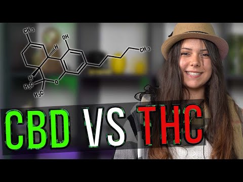 Видео: Каква е разликата между CBD vs THC