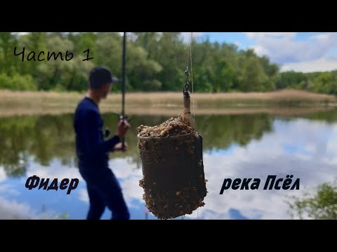 Видео: Знакомство с фидером. Нижний Псёл