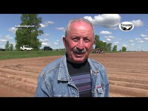 Видео: В ЗАО "Куликово" продолжается посевная кампания. 15.05.2023