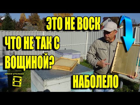 Видео: ВОСК С ПРИМЕСЯМИ В ВОЩИНЕ - ИСТОЧНИК МНОГИХ БЕД НА ПАСЕКЕ. ЛЮБИТЕЛЬСКОЕ ПЧЕЛОВОДСТВО ДЛЯ НАЧИНАЮЩИХ