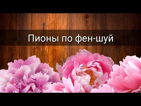 Видео: ПИОНЫ ПО ФЕН ШУЙ