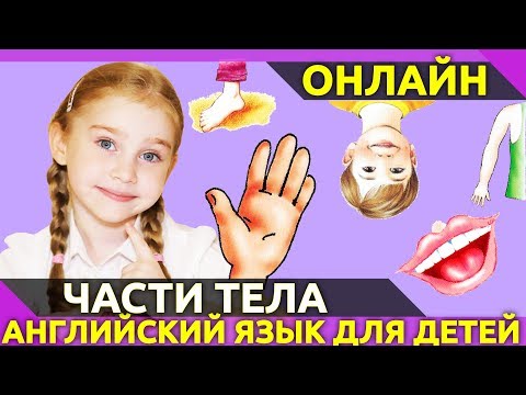 Видео: Как будет подбородок по-английски? Учим части тела на английском языке. | Англичанки