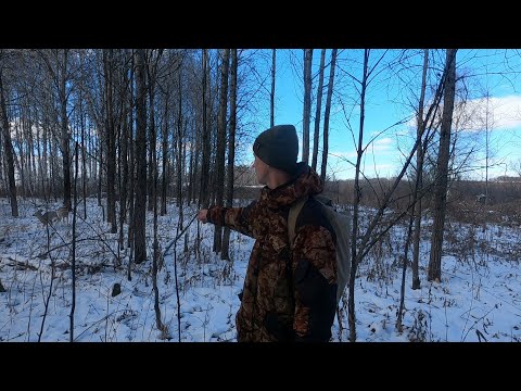 Видео: КОЗЫ ВЫШЛИ ПРЯМ В КАМЕРУ.ОХОТА НА БОБРА.СТАВЛЮ КАПКАНЫ.