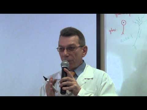 Видео: Введение в центральную нервную систему.