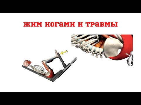 Видео: Жим ногами. Техника. Травмы