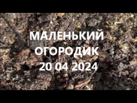 Видео: МАЛЕНЬКИЙ ОГОРОДИК 20 04 2024