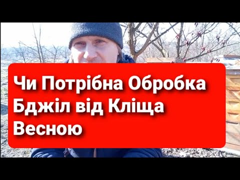 Видео: Обробка бджіл від кліща весною Чим? як? навіщо?