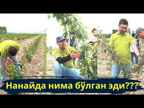 Видео: Мевали девор ва КГБ