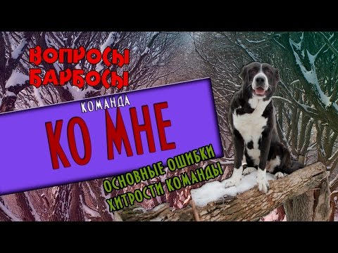 Видео: команда КО МНЕ. Основные ошибки и хитрости выполнения