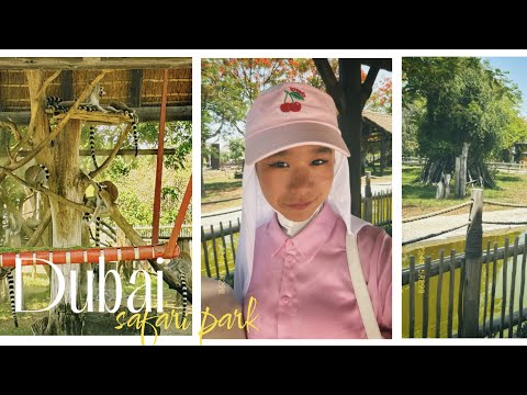 Видео: Dubai САФАРИ ПАРК🏜️🪵🦓🦍🐊🐅🐏🐐