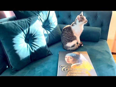 Видео: Бессовестность нашей жизни. Кокотка, которая эмансипистка. Овсяное печенье👌и МОРС #juliaslifenotes