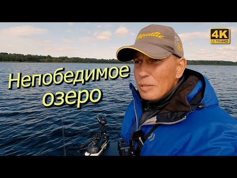 Видео: Рыбалка на спиннинг осенью 2023. Непобедимое озеро