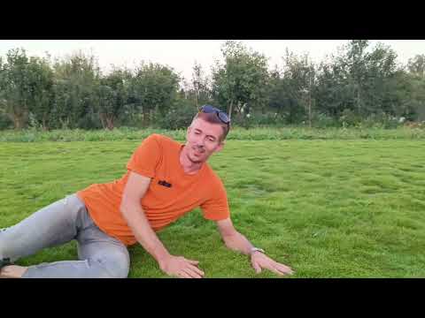 Видео: Масштабный Газон из Мшанки 3