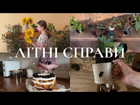 Видео: Літні справи | ожиновий торт, сад, нові чашки, вишнева наливка
