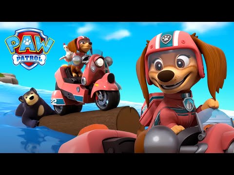Видео: Новият мечи приятел на Либърти я спира да се спусне по водопад! - PAW Patrol Bulgarian
