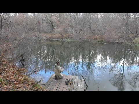 Видео: Осенняя рыбалка на поплавок в октябре! Рыбалка на поплавок осенью на реке!