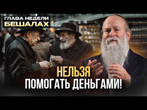 Видео: Почему ты бедный? Глава недели Бешалах. Рав. Шмуэль Каминецкий