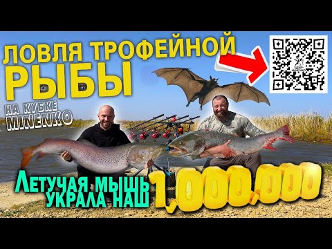 Видео: Как мы ловили рыбу 100 часов и разыграли 1000 000 рублей? MINENKO BIG GAME