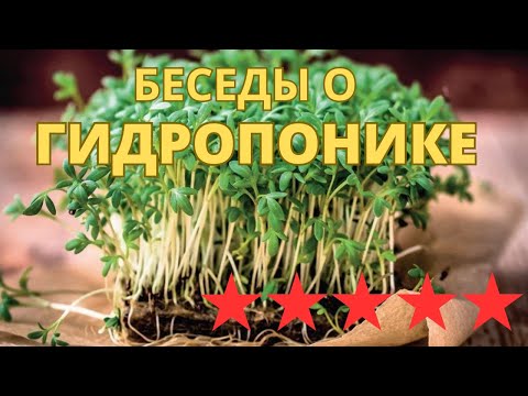 Видео: Правда о гидропонике