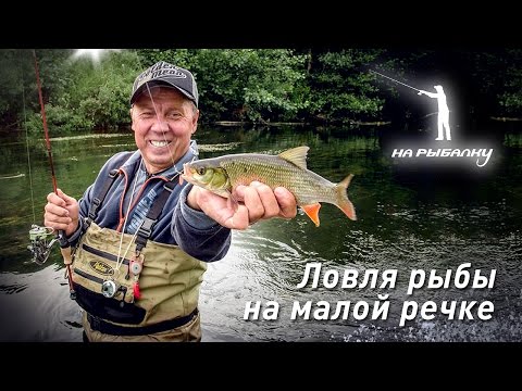 Видео: Ультралайтовая ловля на малой речке: НР#4