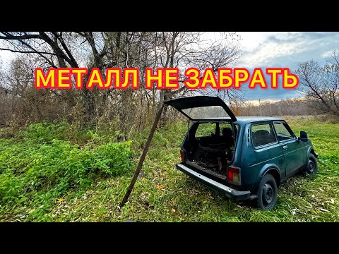 Видео: НОВЫЕ НЕКОПАННЫЕ МЕСТА! ОПЯТЬ НАРВАЛСЯ! МЕТАЛЛОКОП!
