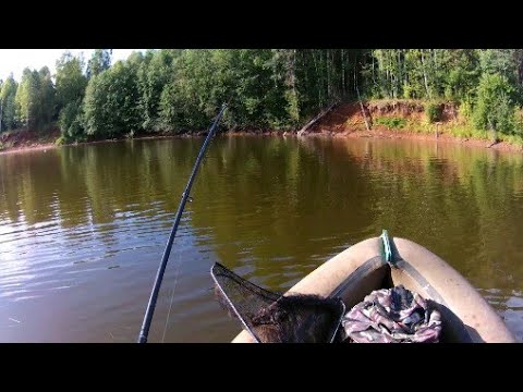 Видео: Выезд за щукой на реку Кондас