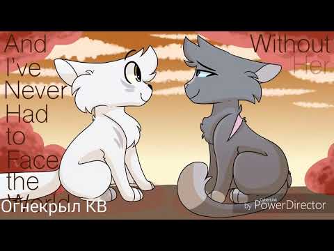 Видео: {Коты-Воители}||▪□Буран□▪||[Воин ветра]||~Заказ~