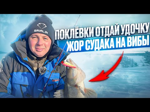 Видео: ТОННЫ СУДАКА ВМЕСТО ДНА! Первый лёд на Волге  в Камском Устье.