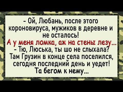 Видео: Как барышня Грузину зад подставила! Сборник свежих анекдотов! Юмор!