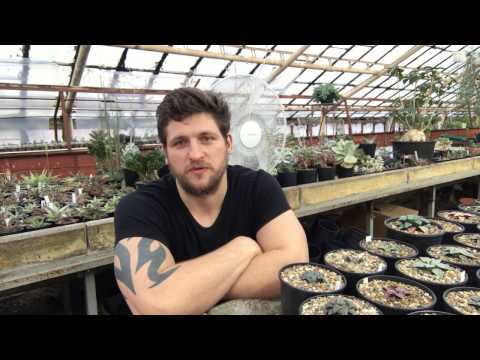 Видео: Что даёт человеку занятие растениями - доход, релакс, дисциплина и саморазвитие