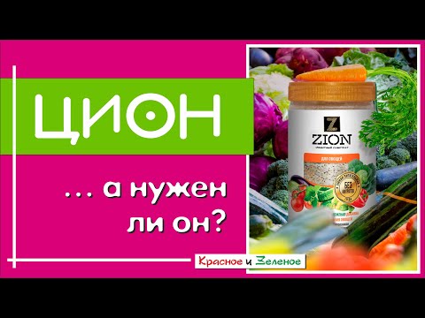 Видео: Цион. А нужен ли он?