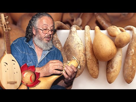 Видео: Сушеные тыквы и их ручное превращение в лампы, инструменты и кувшины