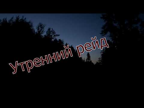 Видео: Следы браконьерства,раннее утро,встреча с медведями.