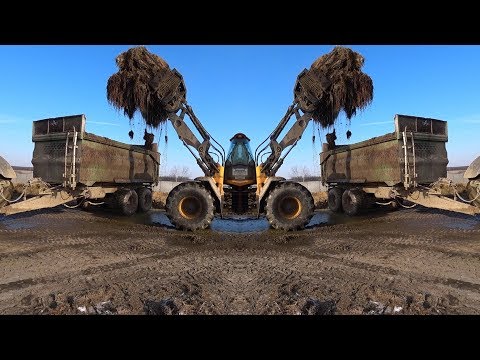 Видео: Вывозим солому от телят