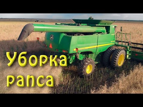 Видео: Уборка рапса! John Deere 9770 STS! Claas Lexion 480!