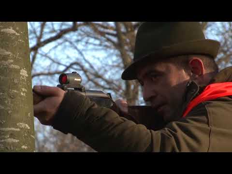 Видео: Свински гонки в хижа зли дол - zlidol.com част 1