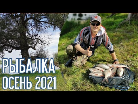 Видео: Рыбалка 2021. Ловля ЯЗЯ на ФИДЕР. Рыбалка на сильном течении
