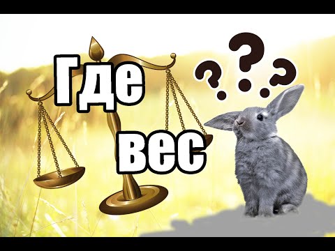 Видео: Почему кролики не набирают вес/Какой вес должен быть у кроликов/Диванный кроликовод