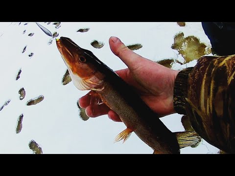 Видео: Рыбалка в январе. Рыбалка в глухозимье на озере в Лен. обл.)))