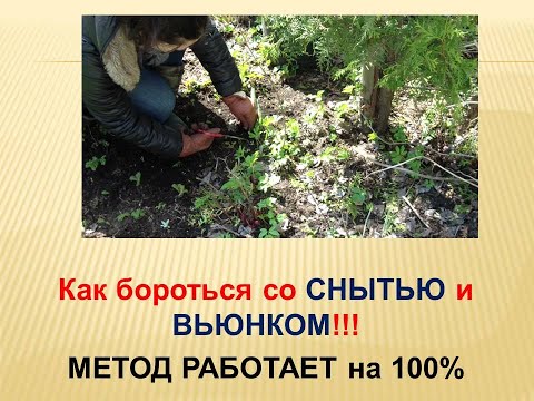 Видео: Как бороться со СНЫТЬЮ и ВЬЮНКОМ!!! Метод работает на 100%!