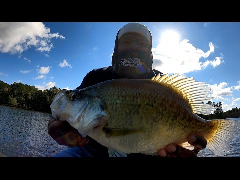 Видео: Осенний улов краппи просто огонь!