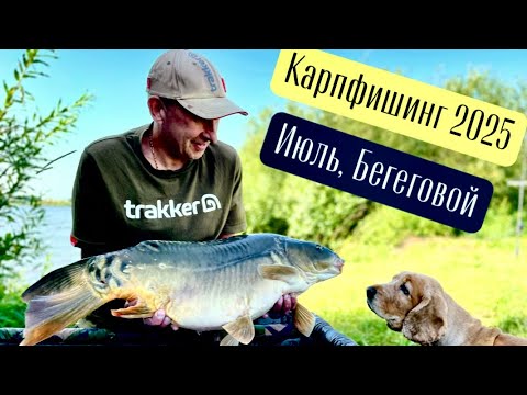 Видео: Карпфишинг 2025: Июль, РСК «Береговой»