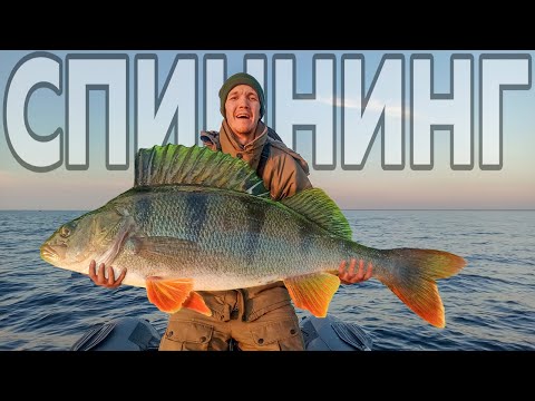 Видео: Окунь на джиг. Осенняя рыбалка на окуня. Джиг с лодки.